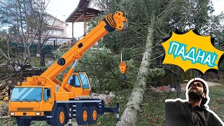 TreeWork видео