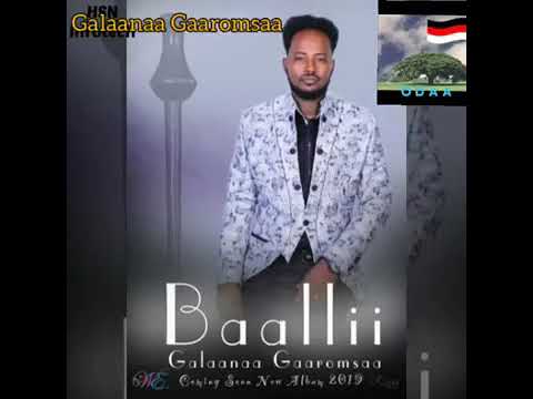 Odaan Kuni abbaa qabdi Galana garomsa. 2019