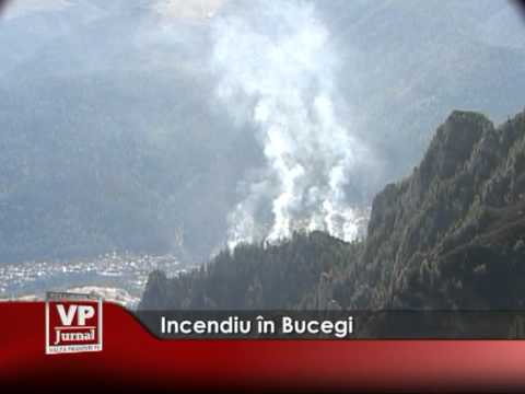 INCENDIU IN BUCEGI