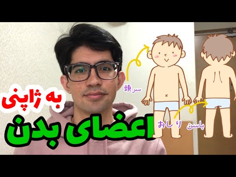 آموزش زبان ژاپنی اعضای بدن