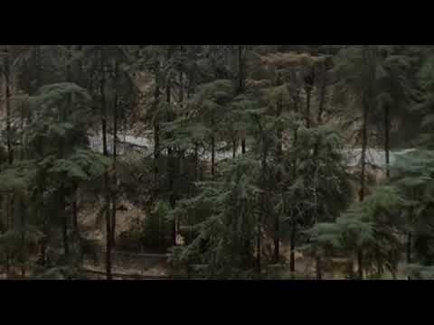 Predator 2 🎬 | Opening scene - LA street fight 1/3