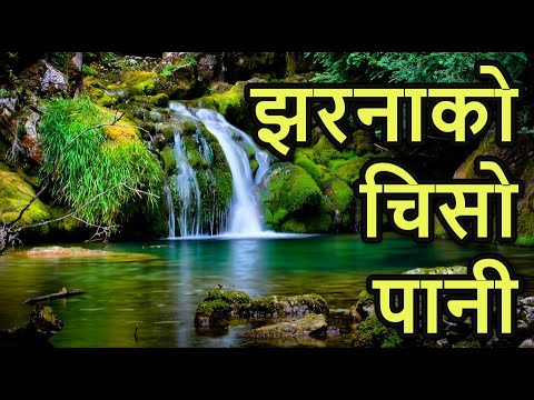 झरनाको चिसो पानी Jharanako Chiso pani 4K
