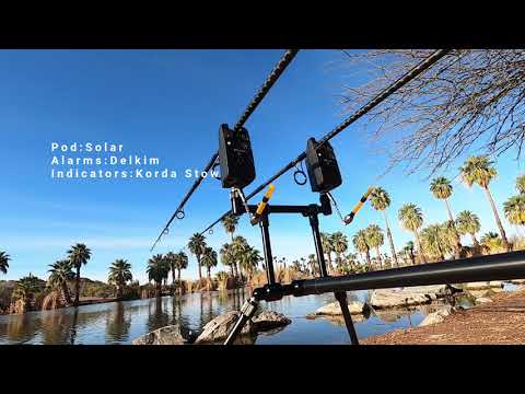 Urban Carp Fishing: Park Lake Gold