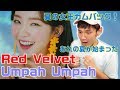 Red Velvet「Umpah Umpah」MV Reaction&Review アイリーンのモテテクがすごい Red Velvet「Umpah Umpah」MV Reaction&Review アイリーンのモテテクがすごい