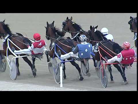 Napoli Trotto 03/03/2023 - 6ª corsa