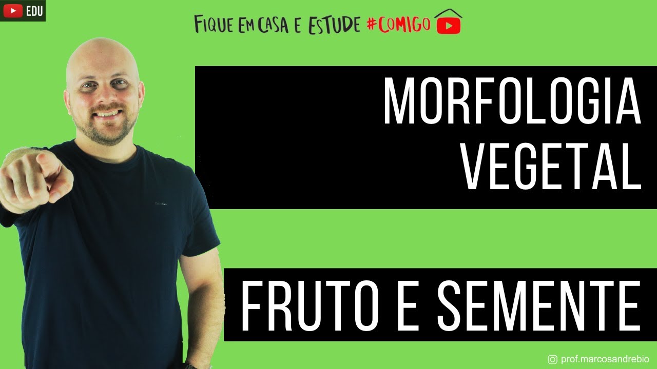 BOTÂNICA| MORFOLOGIA VEGETAL | FRUTO E SEMENTE