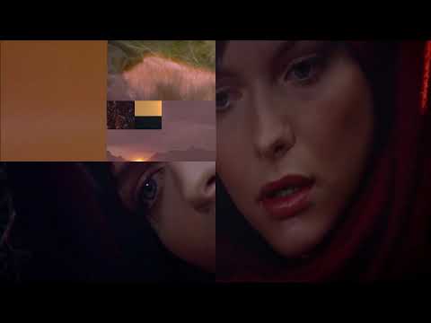 Guy Eytan // All Predators Spiral