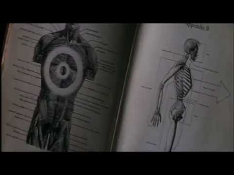 Docteur Knut - Donnie Darko