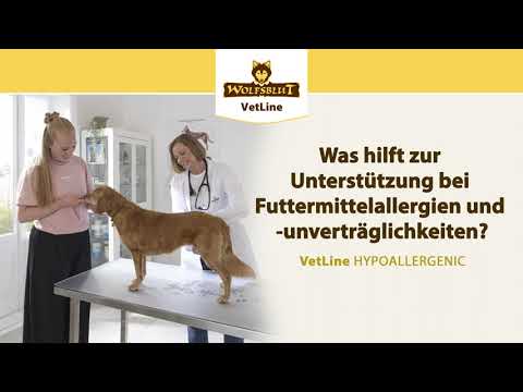 VetLine HYPOALLERGENIC/Was hilft zur Unterstützung bei Futtermittelallergien / -unverträglichkeiten?