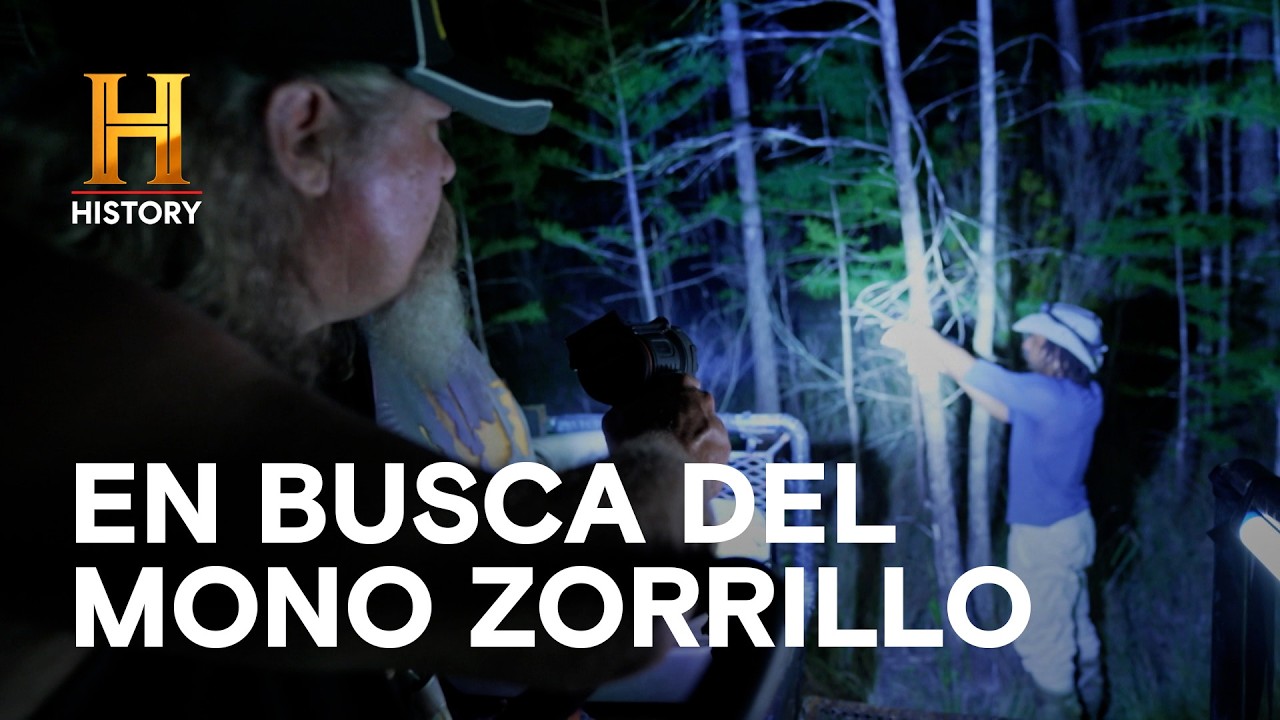 EN BUSCA DEL MONO ZORRILLO - MISTERIOS DEL PANTANO
