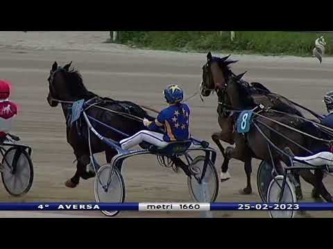 Aversa trotto 25 Febbraio 2023 - 4° Corsa