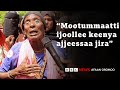 Mooyyaleetti Dargaggoonni Butamaa Ajjeefamaa Jiru Jiraattota BBC News Afaan Oromoo