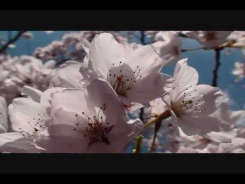 JESUS EDUARDO - TOMA MI VIDA