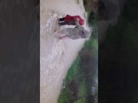 Inundați în Mehedinți cocorova