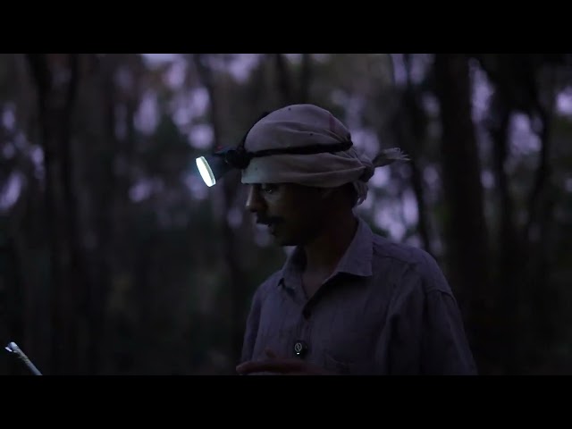 thumbnail of the course