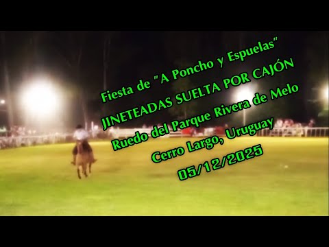 Jineteadas suelta por cajón - Fiesta de "A Poncho y Espuelas" - Cerro Largo 05/12/2025