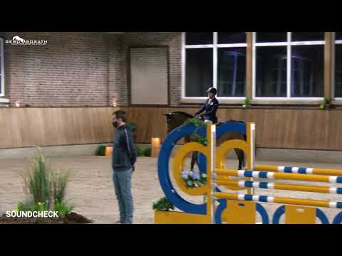 Soundcheck *2016 by Stakkato Gold x Carthago (Sosath Stallion Show 2021)