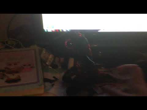 Happy birthday Anora! 🐉