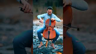 Je Suis Malade - Lara Fabian 😍#music #cello #chanson #love #viral