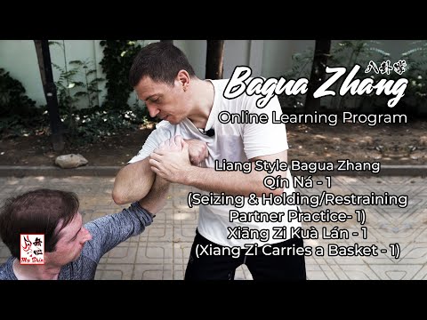 Hua Jin Online Learning Program - Bagua Zhang Glimpses #04