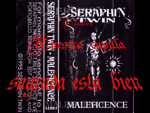 Seraphin Twin - salvation