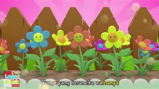 Download lagu BUNGA DI KEBUNKU Lagu Anak Indonesia... mp3