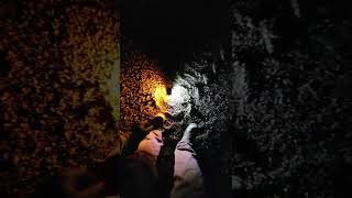 my Guardian Angel Device (orange/white)