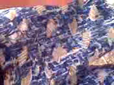 Botafogo Df  x  Ceilandense  [FINAL]