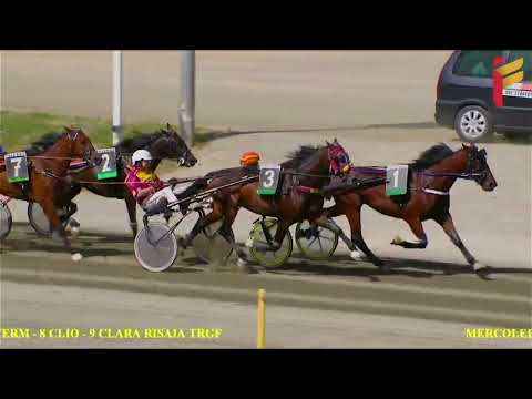 I Corsa del 1 Giugno 2022 - 4 Anni - Metri 2000/2020