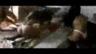 Desorden Publico Latex