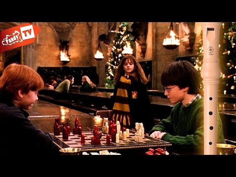 Recorder Flute Cover *Harry Potter (Hedwig's Theme)*