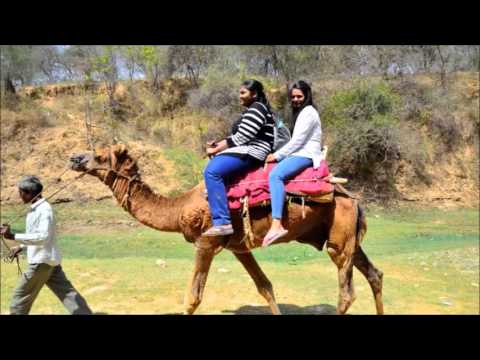 Happy Birthday Himani- Birthday Video