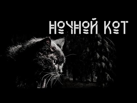Ночной кот. Сергей Стэн | Мистика. ИсторииТО
