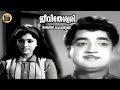 Jeevitheswarikkekuvanoru Ladies Hoste L1973 Prem Nazeer Jayabharathi Film Song Central Talkies