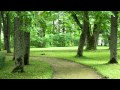 Mogwai - Place for Parks