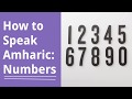 Learn Amharic: Numbers 1 to 10 in Amharic