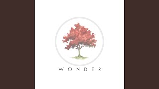 Wonder
