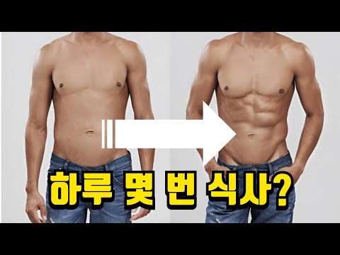 다이어트를 위한 최적의 식사 빈도 [핏블리님 반박]