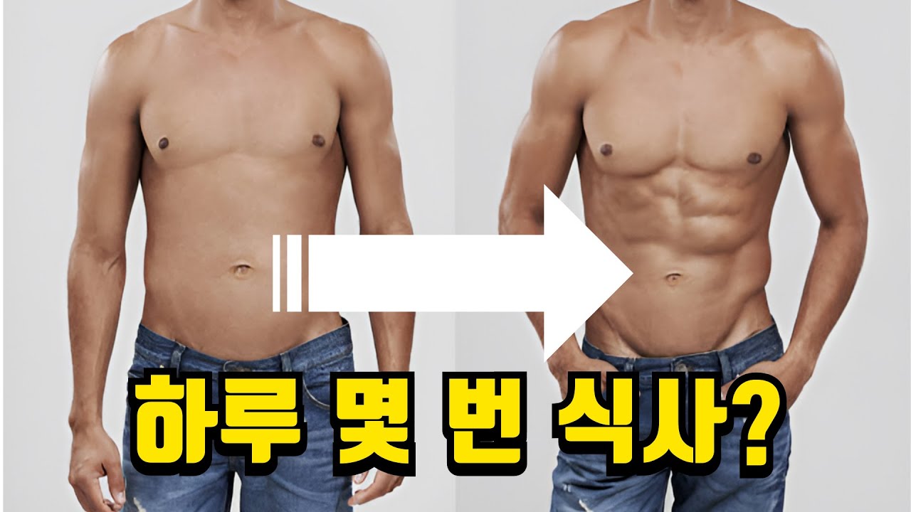다이어트를 위한 최적의 식사 빈도 [핏블리님 반박]