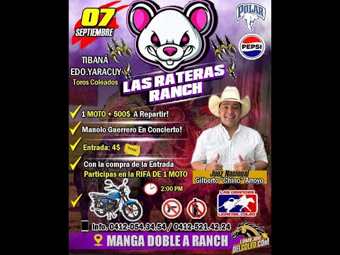 Toros coleados Tibana - manga de coleo DOBLE A RANCH