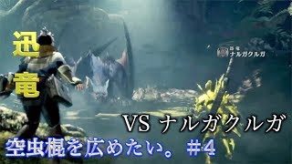 【MHWIB】懐かしのナルガ！懐かしすぎて忘れてた。　ナルガクルガ　初見　【空虫棍】