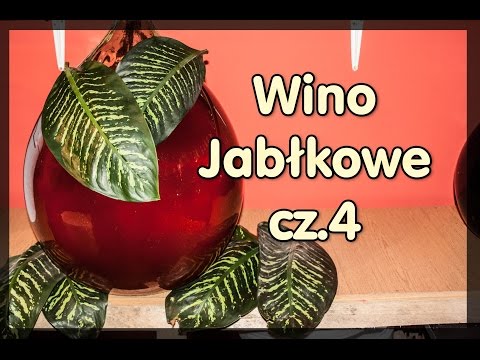 Wino Jabłkowe  cz.4
