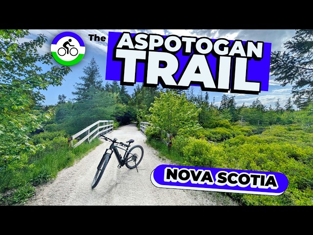 Trail Video Preview