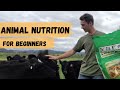 Animal Nutrition For Beginners Energy Protein Fibre Vitamins And Minerals