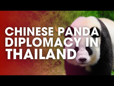 Chinese Panda Diplomacy in Thailand