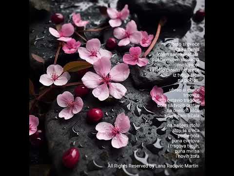 Mašna od Sreće... poetry by Lana Radovic Martin