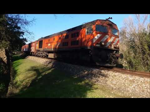 Comboio de cimento da Martingança #060219