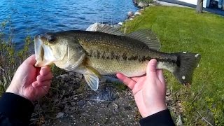 Battling Wind For Bass