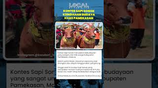 Pesona Sapi Sonok, Budaya Unik yang Terus Dilestarikan