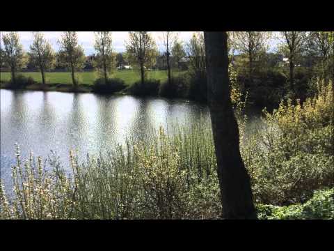 Raub- und Edelfischsee Norby! Neueröffnung - Forellensee - Ostsee war gestern jetzt kommt Norby!